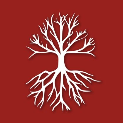 Rootmedia profile picture